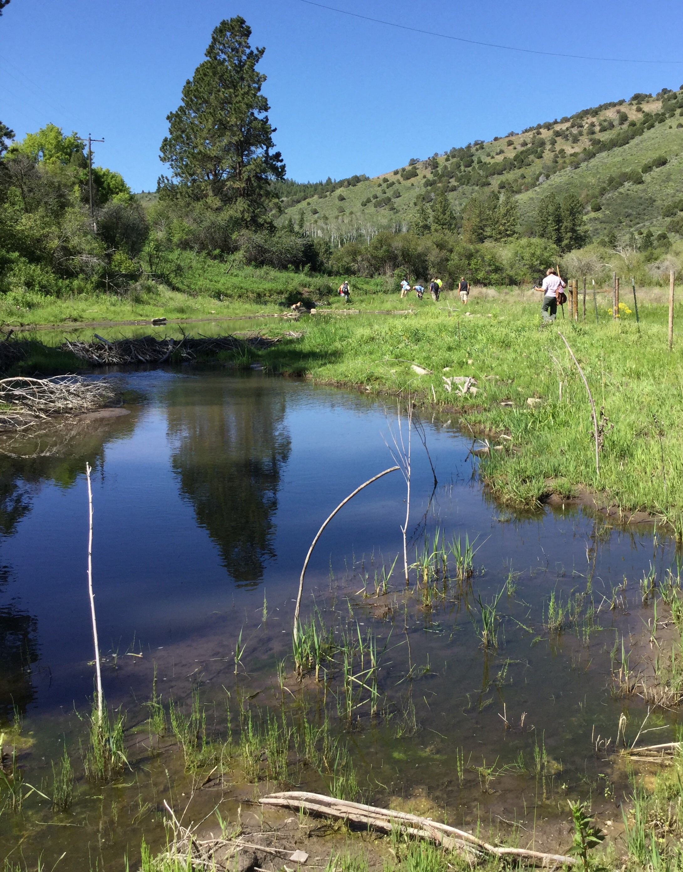 Mink Creek Idaho Adventure Learning