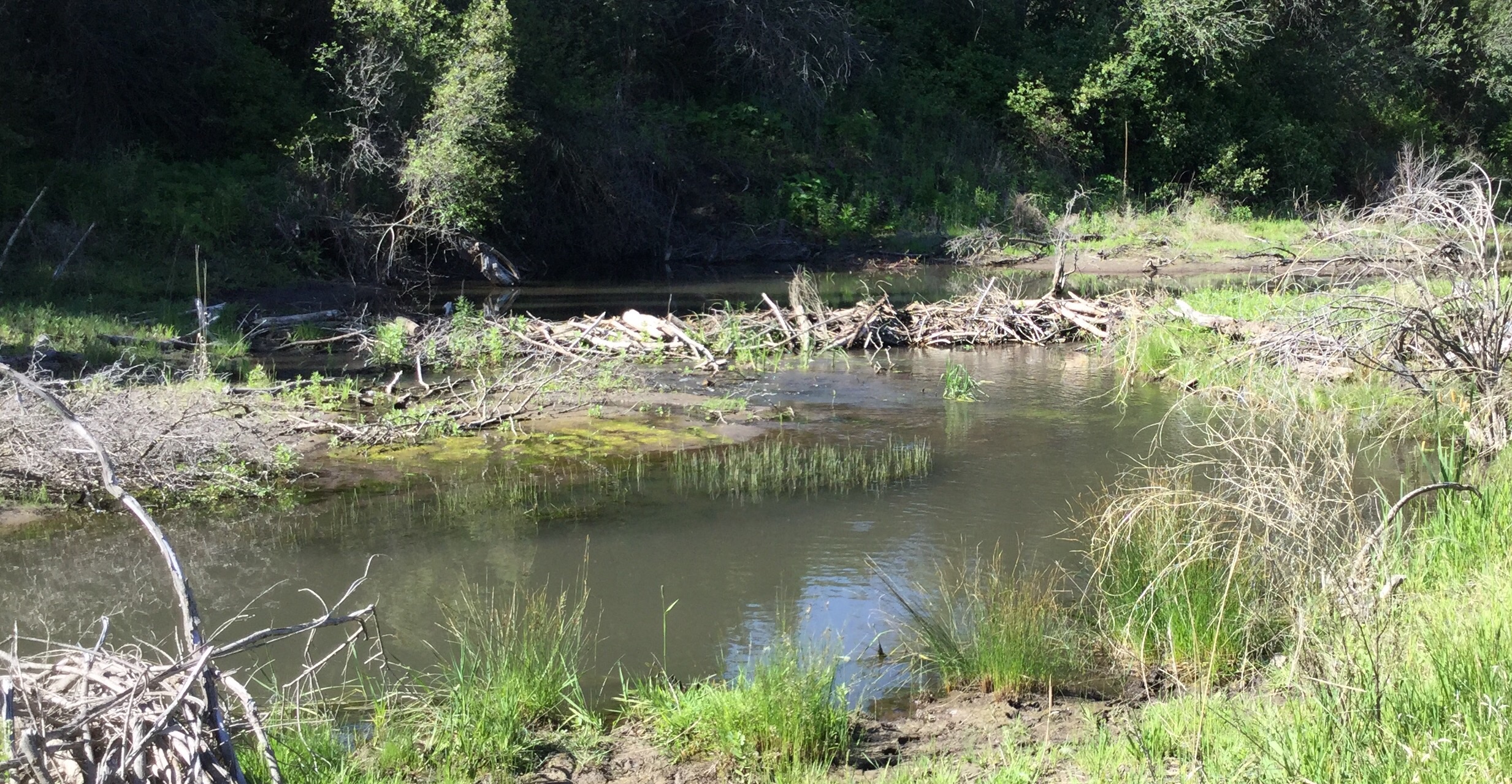 Mink Creek Idaho Adventure Learning